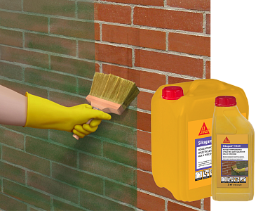 Sikagard®-115 W Концентрат для удаления мха, плесени и водорослей